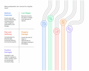 dog bite, claim, injury law, dog bite injury, can I sue for a dog bite? |