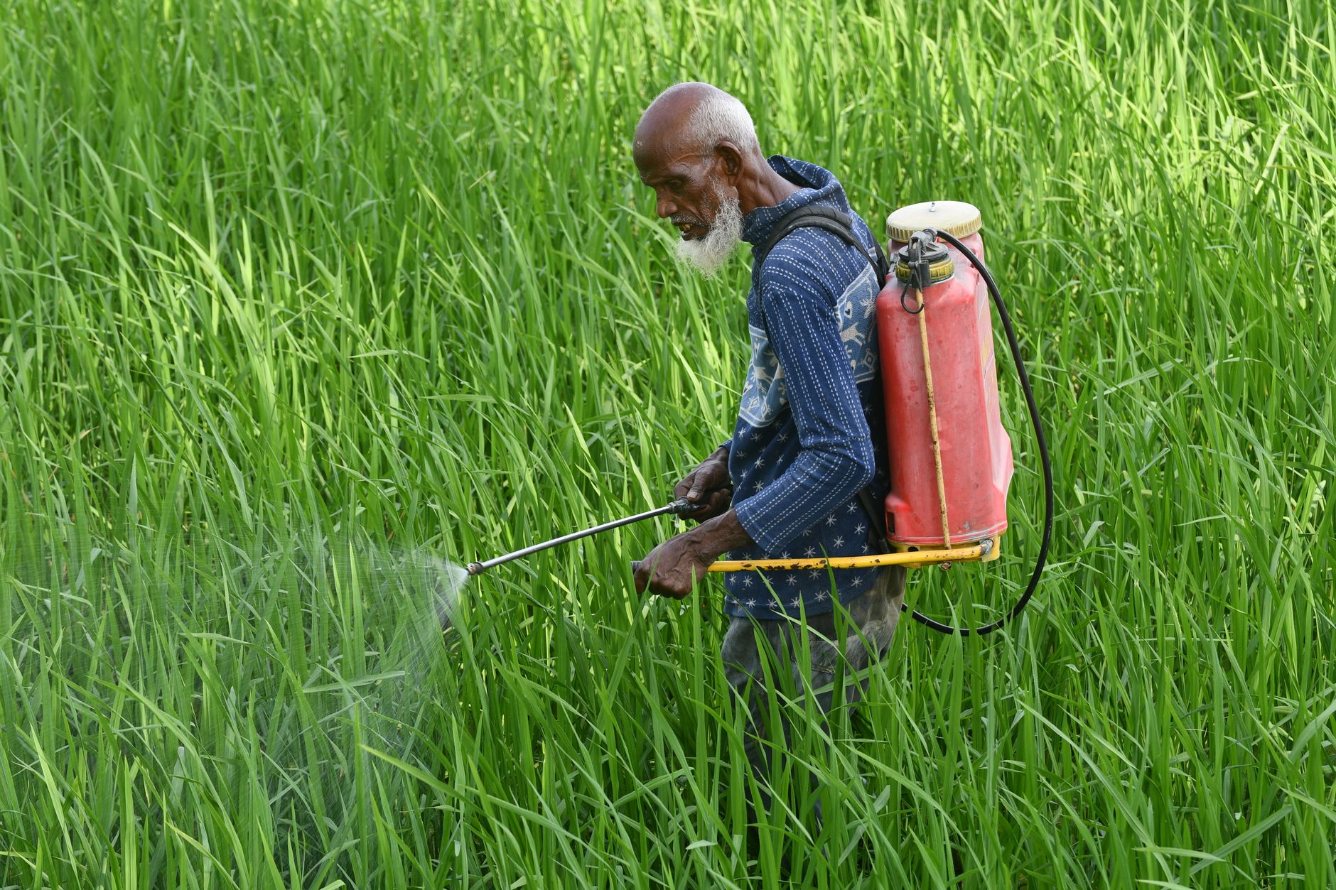 Roundup Lawsuit: Settlement Amounts and Eligibility 2026