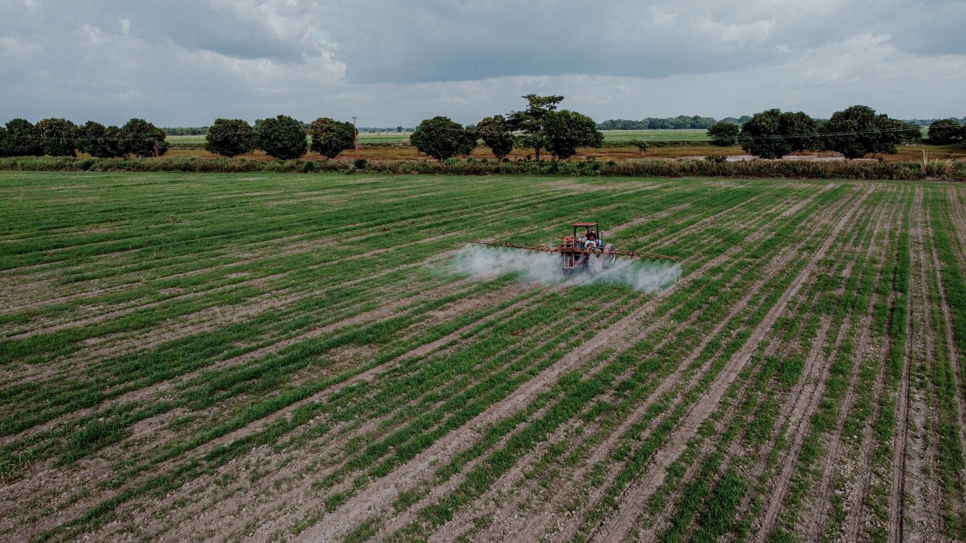 Roundup Lawsuit: Settlement Amounts and Eligibility (2026)